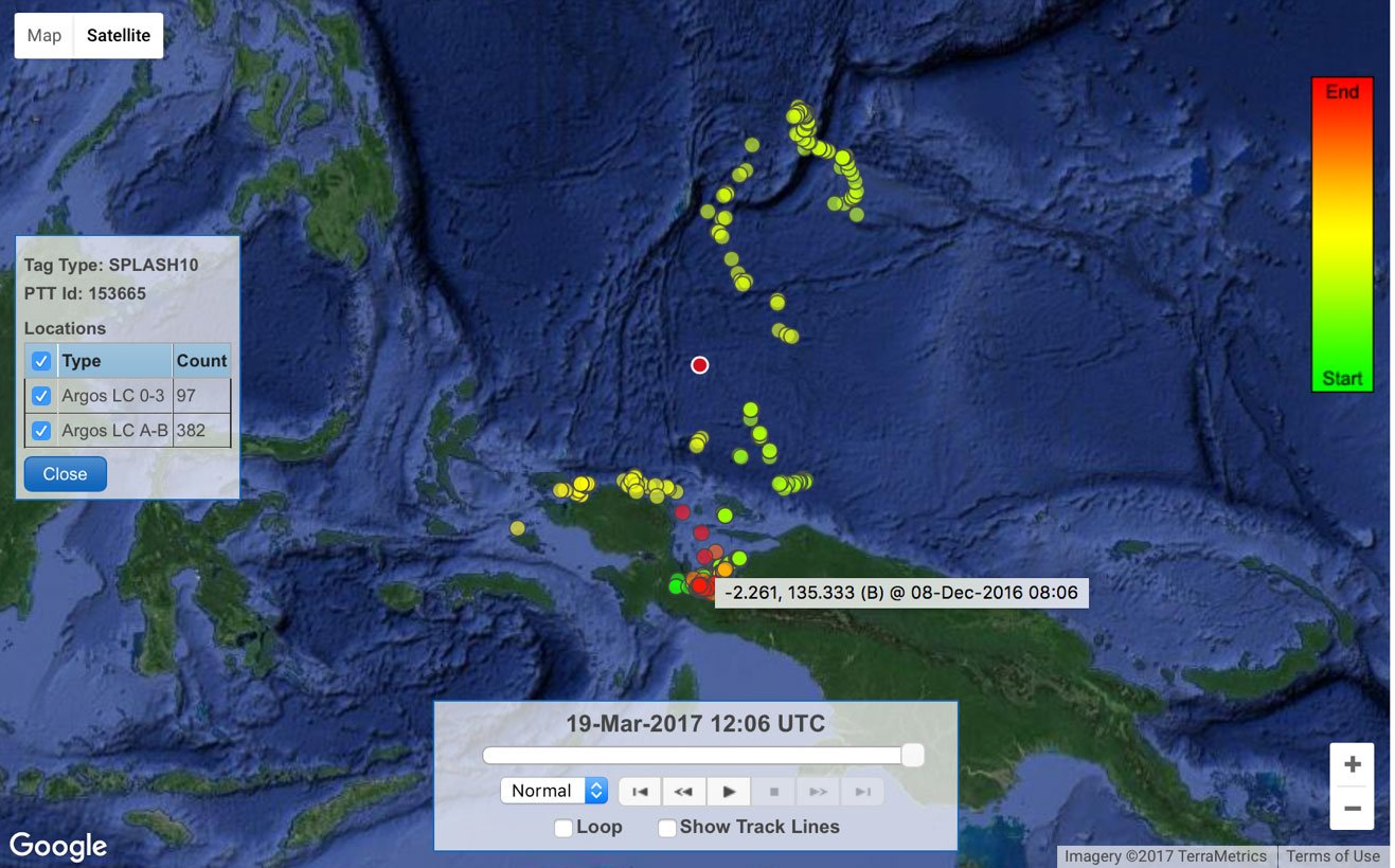 Sharky McSharkface Moby Map