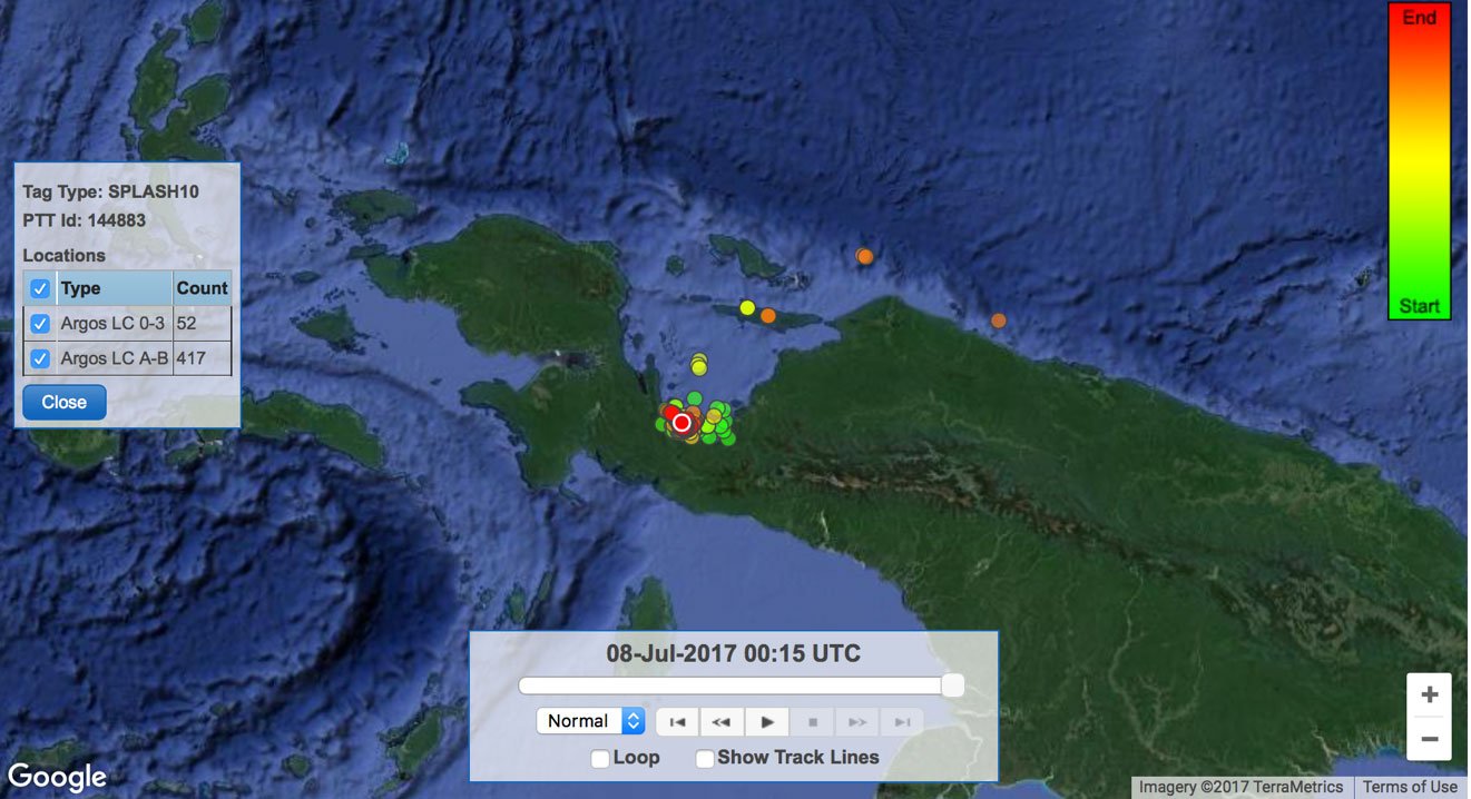 Sharky McSharkface Map