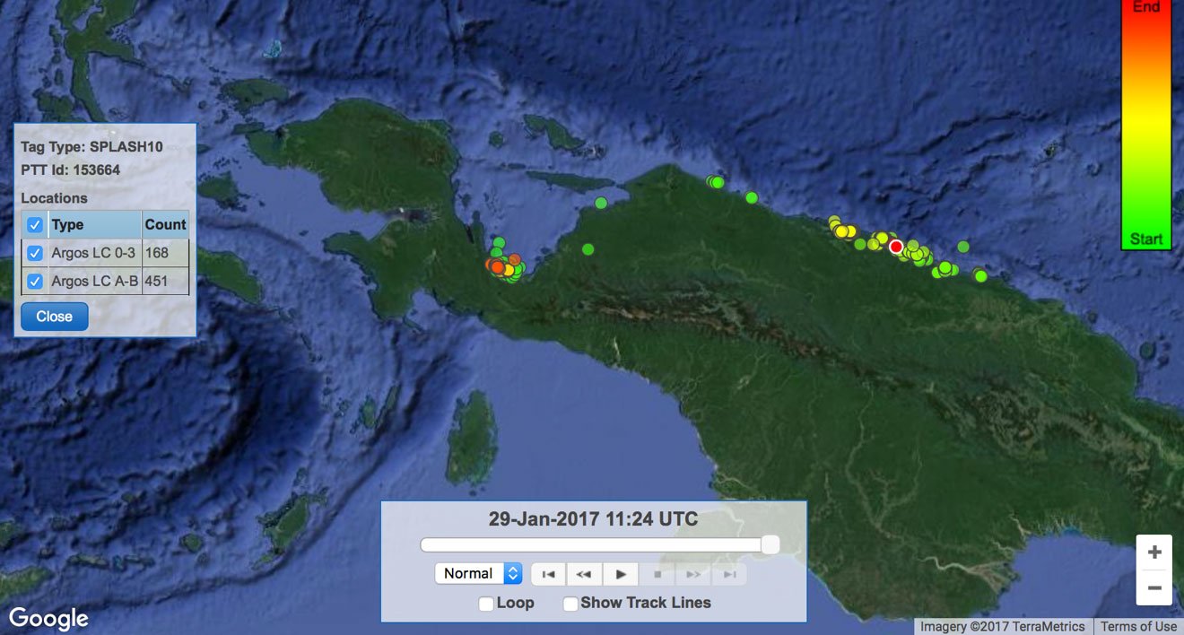 Wally MAP