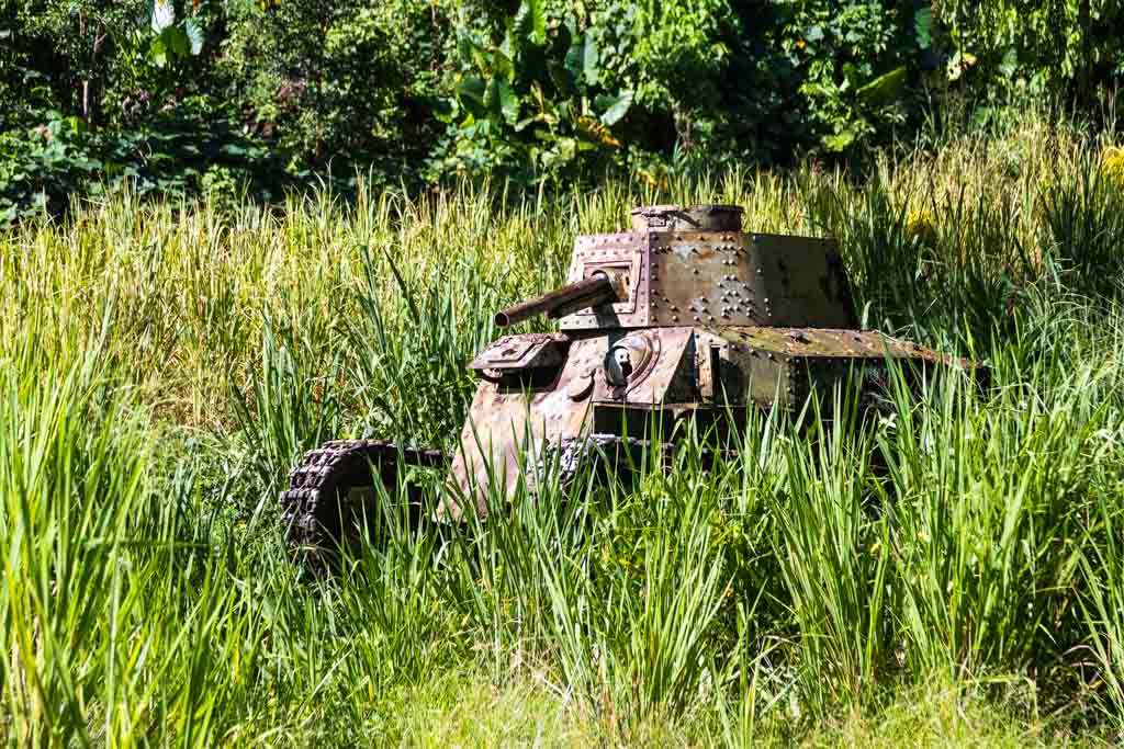 weapons of the civil war are not yet completely overgrown by the tall grass