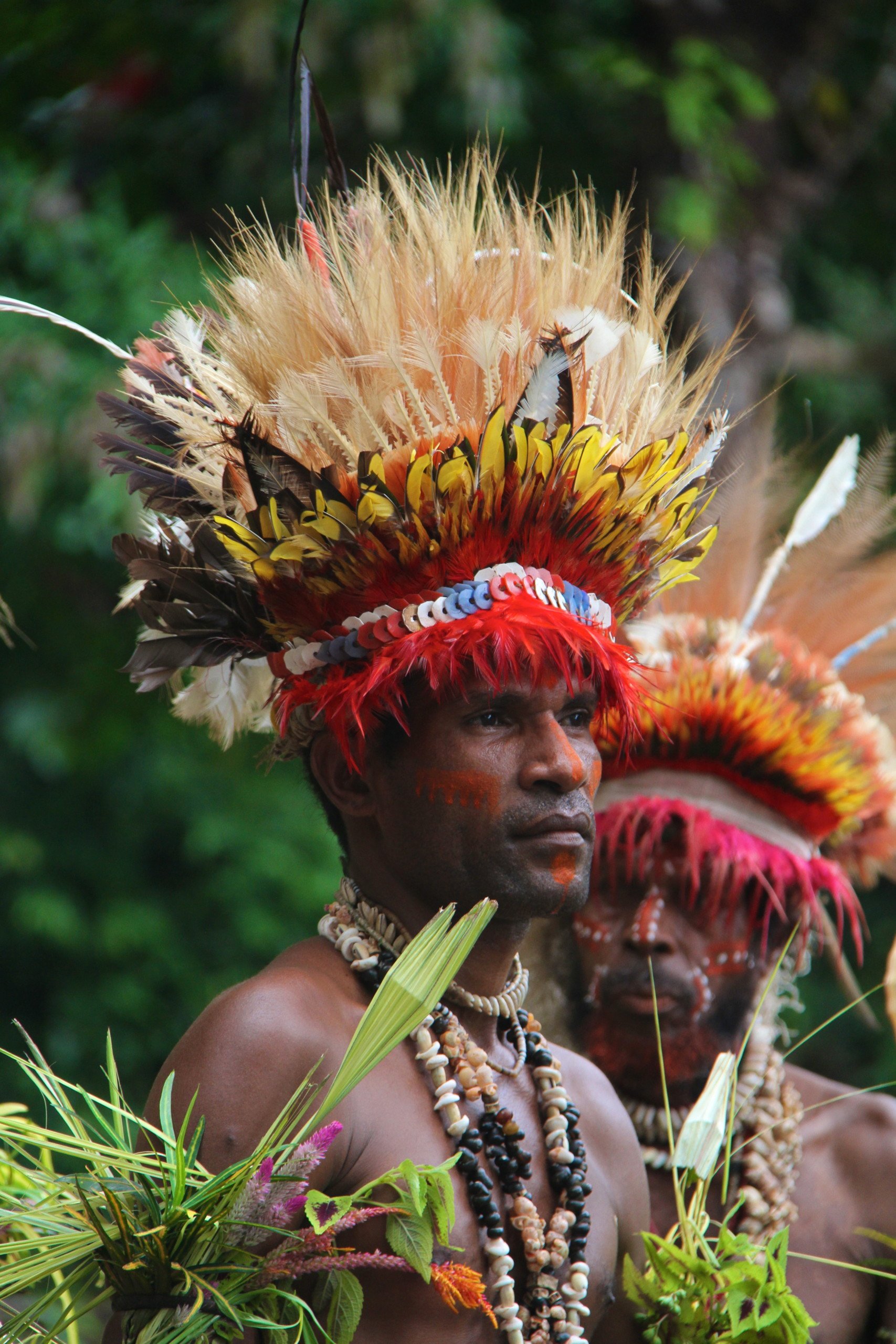 PNG Tribe