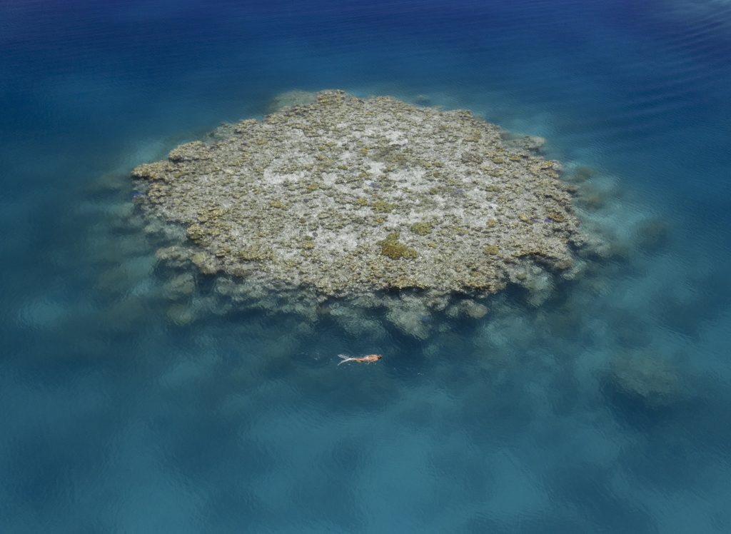 Great Barrier Reef Cruise to Cairns