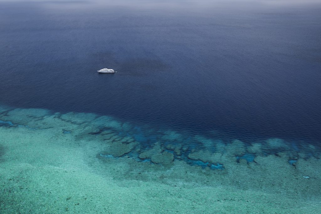 The Outer Reef