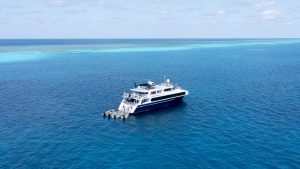 Coral Atoll Cruise 1