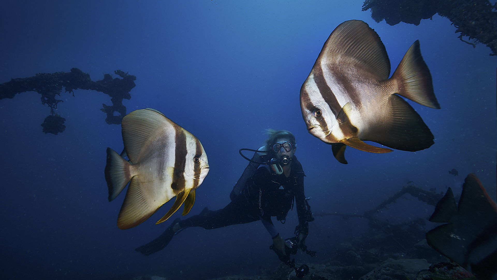 Snorkelers also enjoy thrilling drifts - True North Adventure Cruise