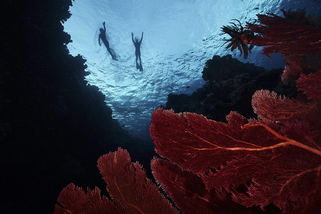 The Aquarium & Outer Reef