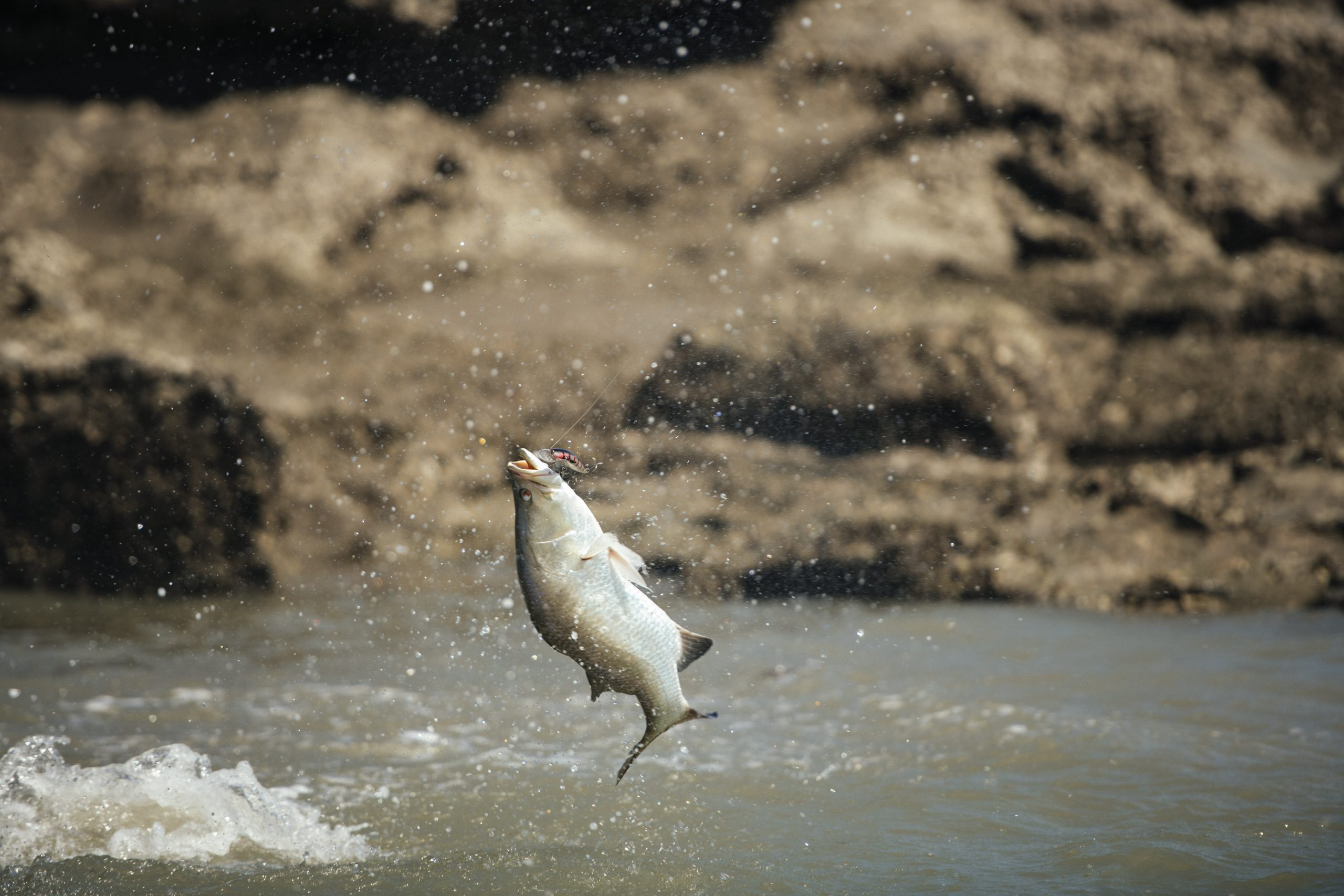True North Barra Cruise