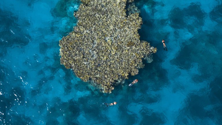 Great Barrier Reef Snapshot cruise