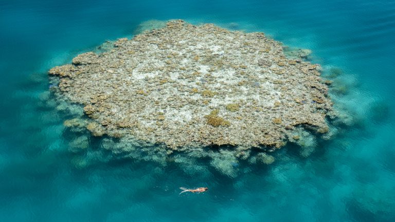 Great Barrier Reef Ultimate cruise
