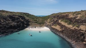 Coast and Coral 2