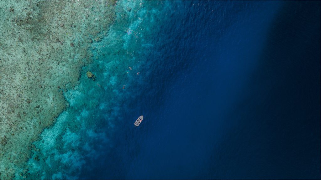 Tijou Reef