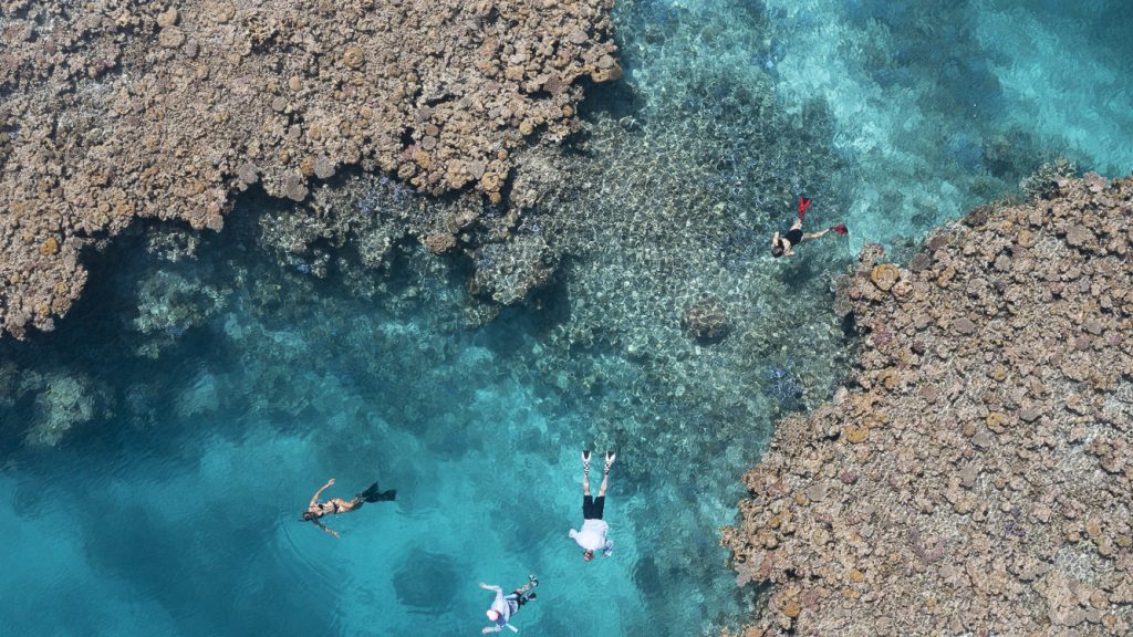Reef to Rainforest  