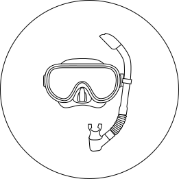 Diving & Snorkeling Experiences in True North