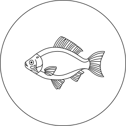 Fishing with True North Team