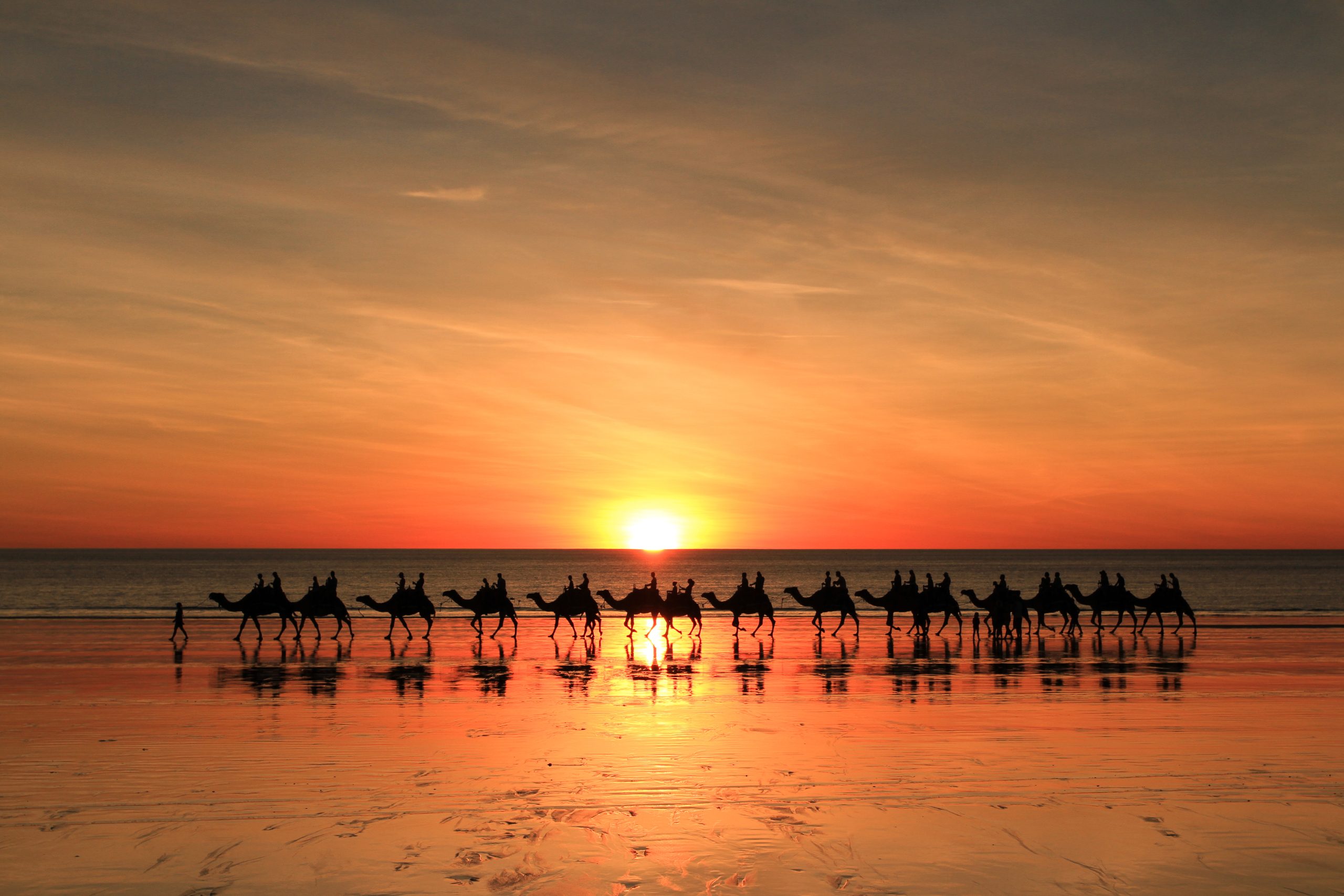 Cable Beach Sunset Camel Ride