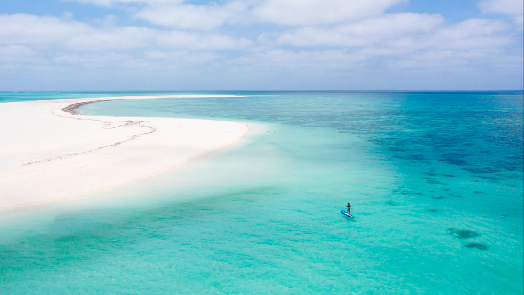 A deep dive into Australia’s other great reef