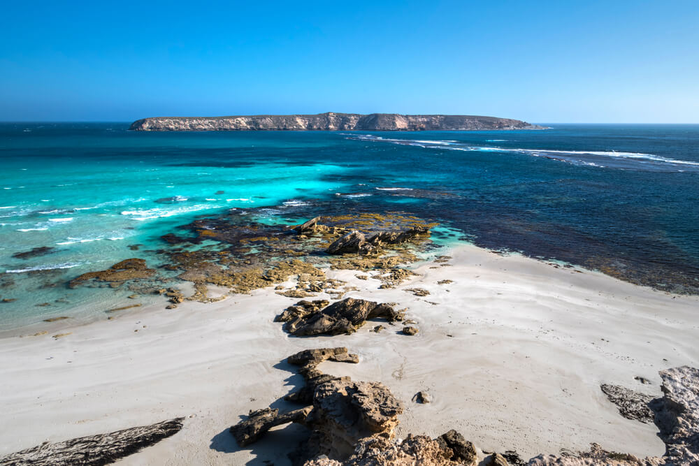 Explore Coffin Bay National Park - True North Adventure Cruise