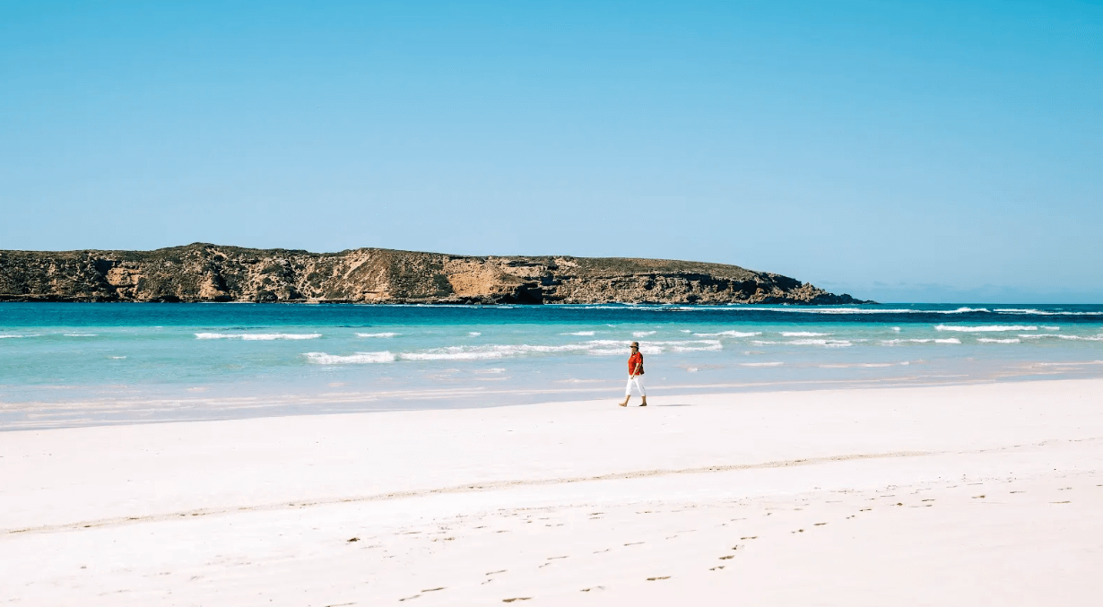 Eyre Peninsula (South Australia) - True North Adventure Cruise