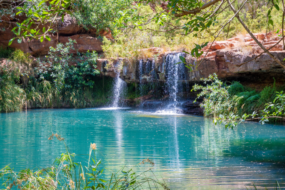 Fern Pool, Karijini National Park, True North Adventure Cruise