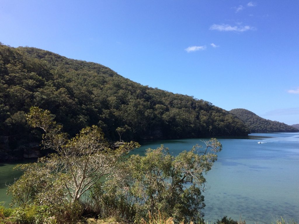 Jerusalem Bay: The Highlights