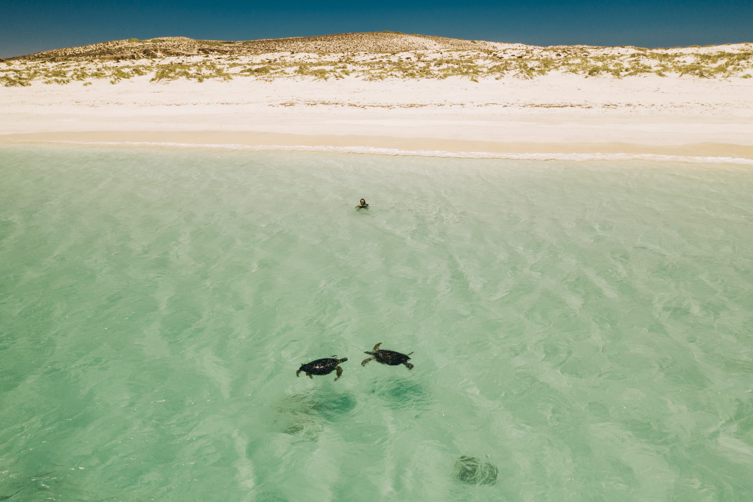 Ningaloo Reef - True North Adventure Cruise