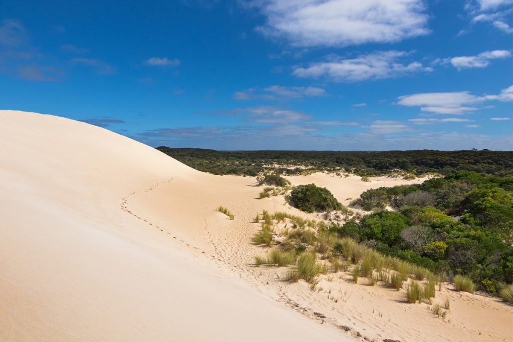 Sandboarding at Little Sahara