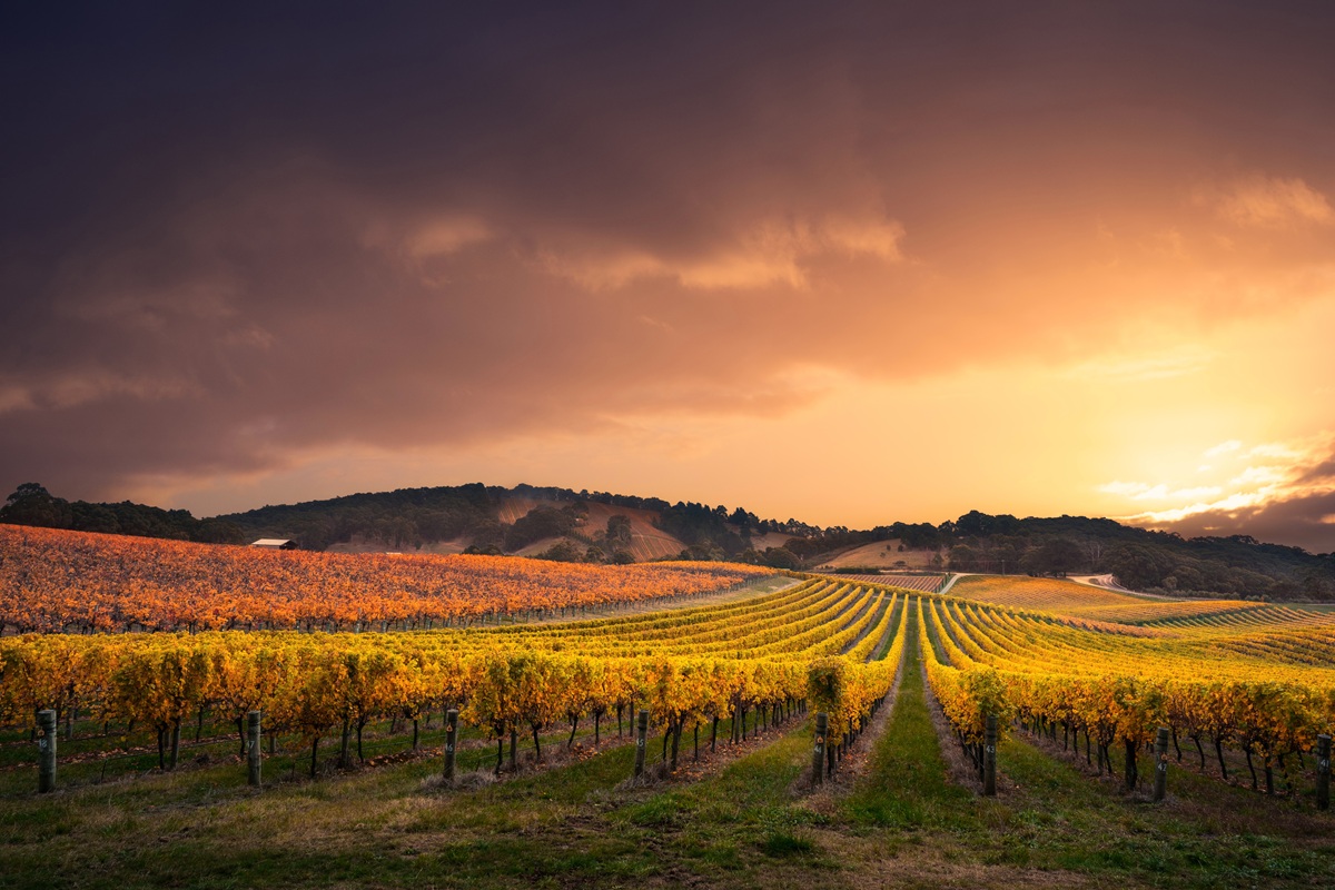Adelaide Hills, SA
