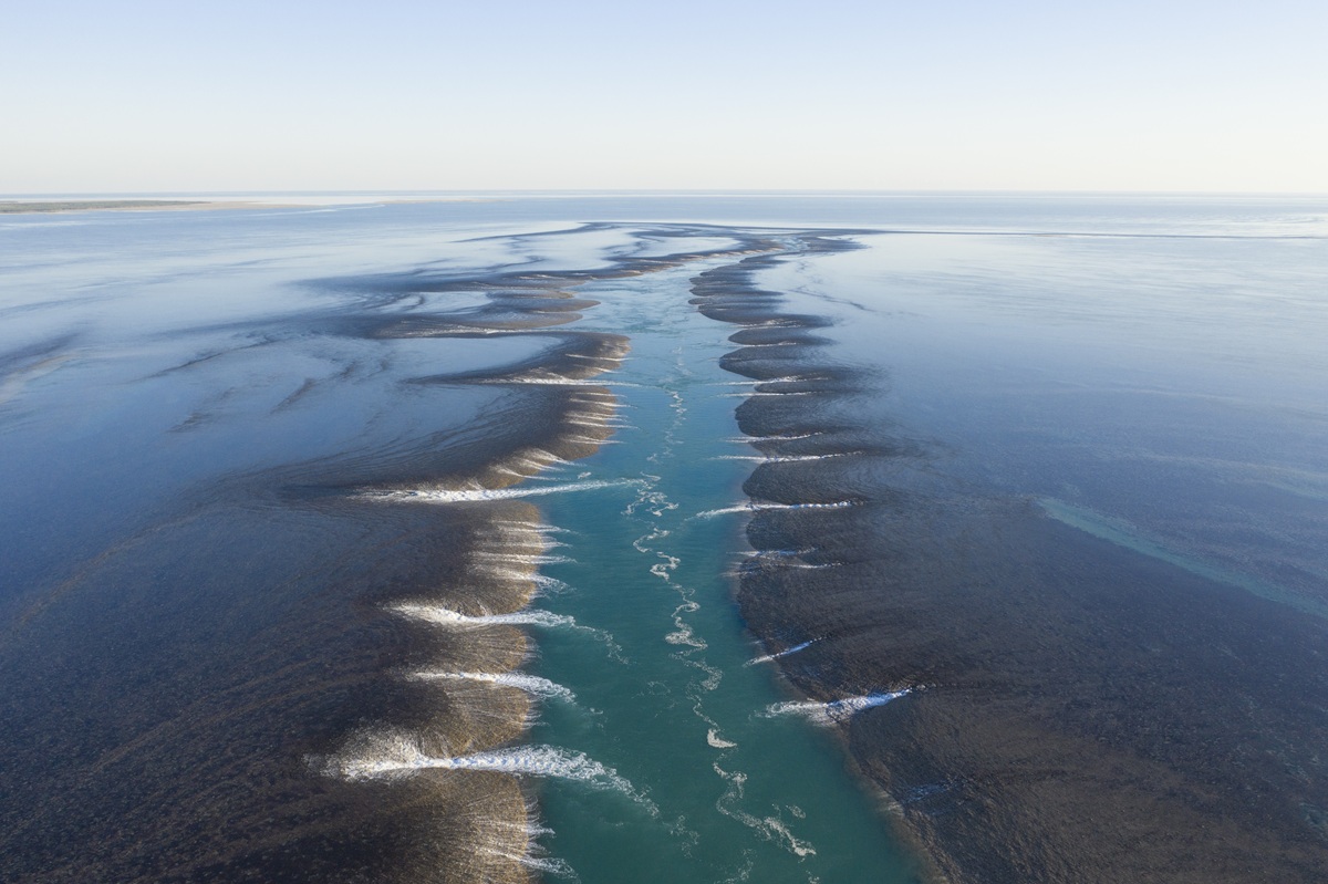 montgomery reef australia