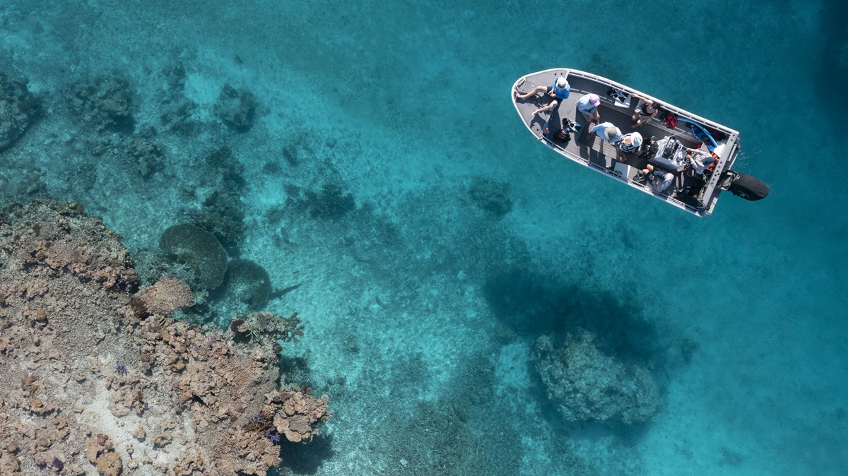 photographer’s dream expedition