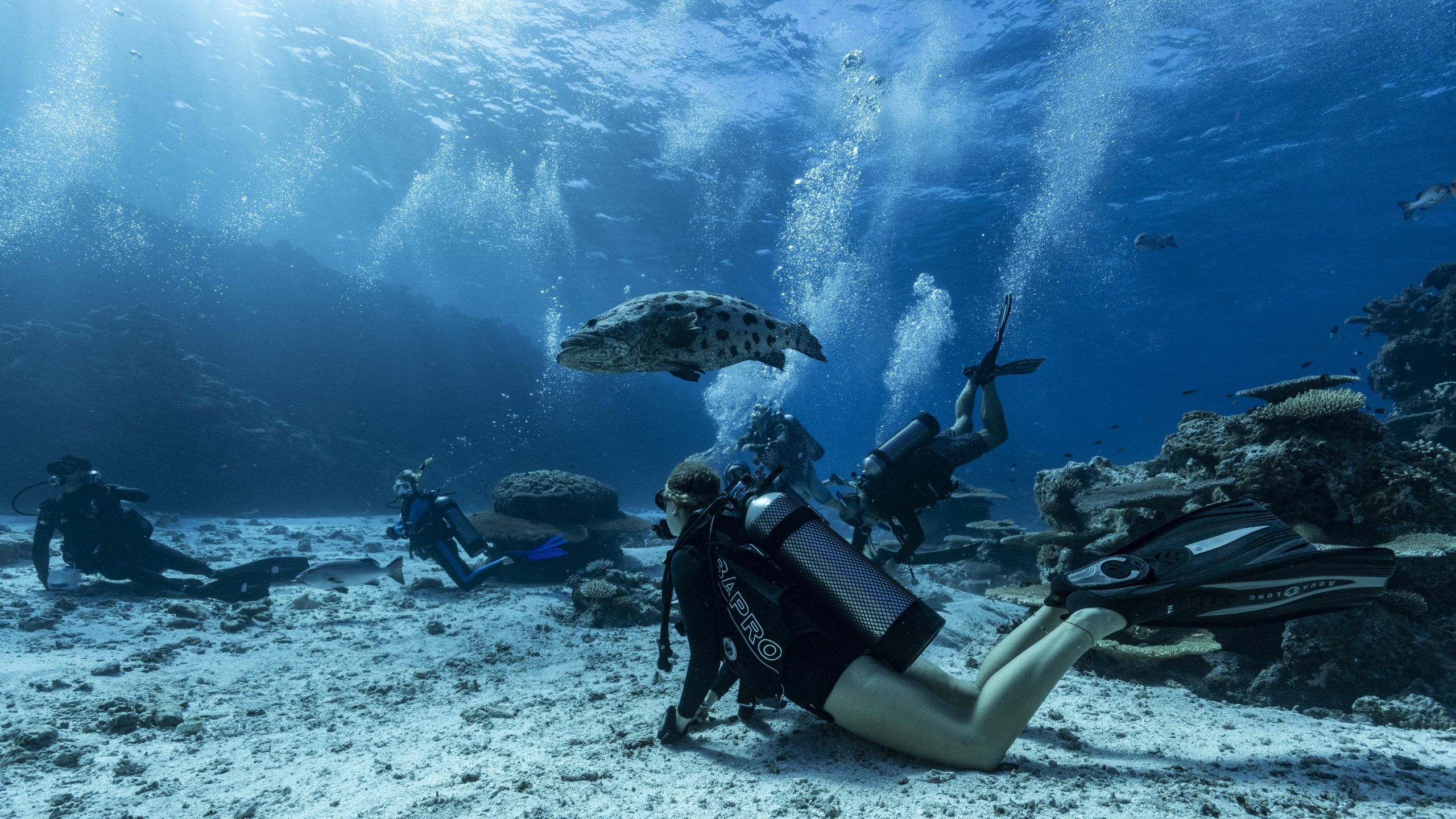 Ribbon Reef & Cooktown