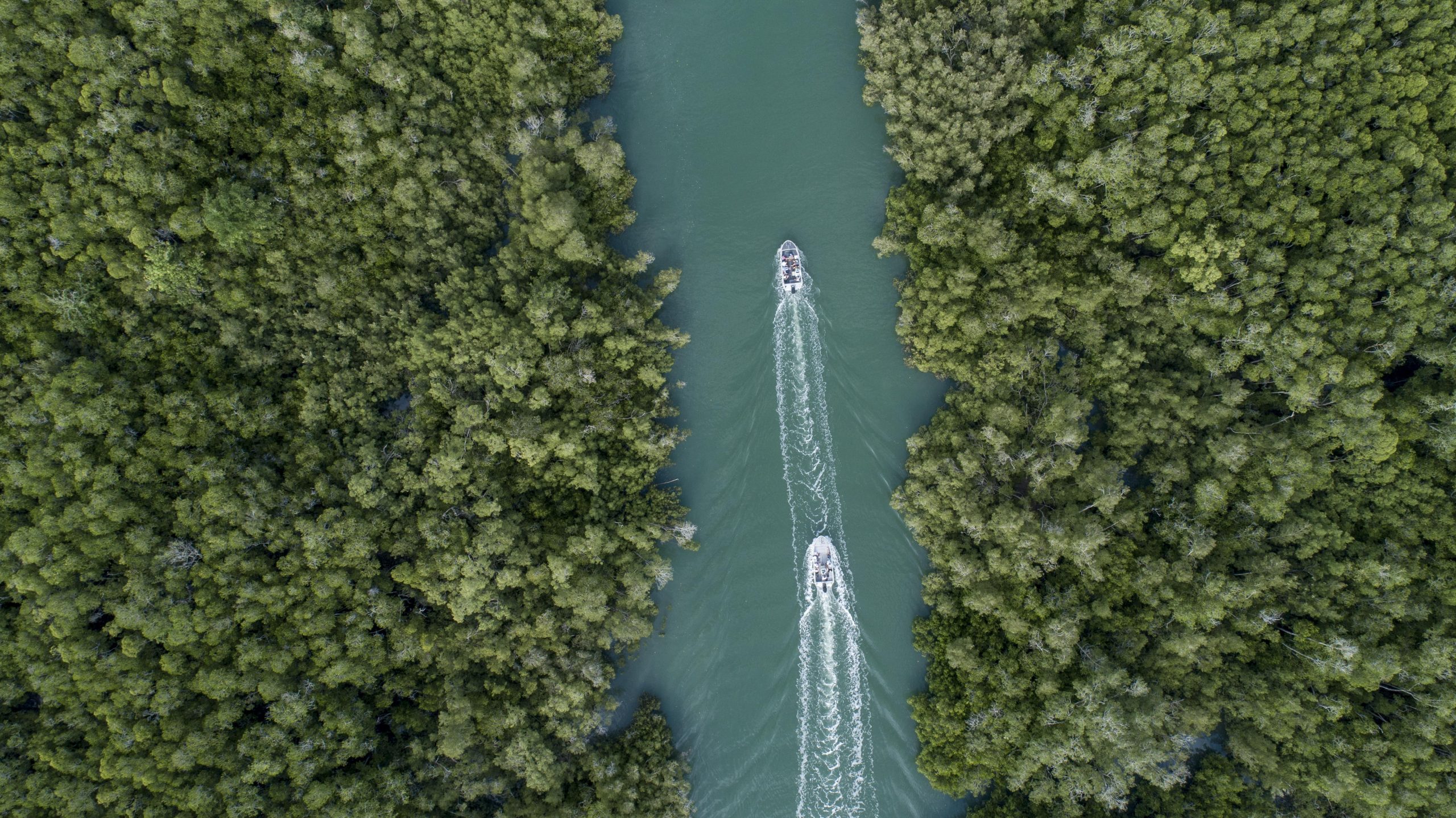 Forbes Island & Davie Reef