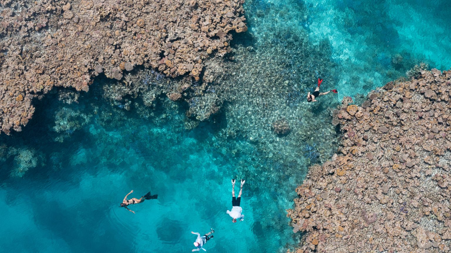 Snorkellers exploring vibrant coral formations in the crystal-clear waters of the Great Barrier Reef, viewed from above.