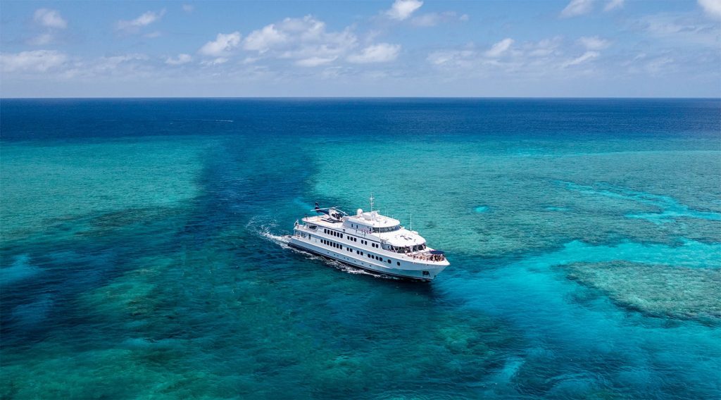Cruise Ship vs Yacht: Why an adventure cruise wins