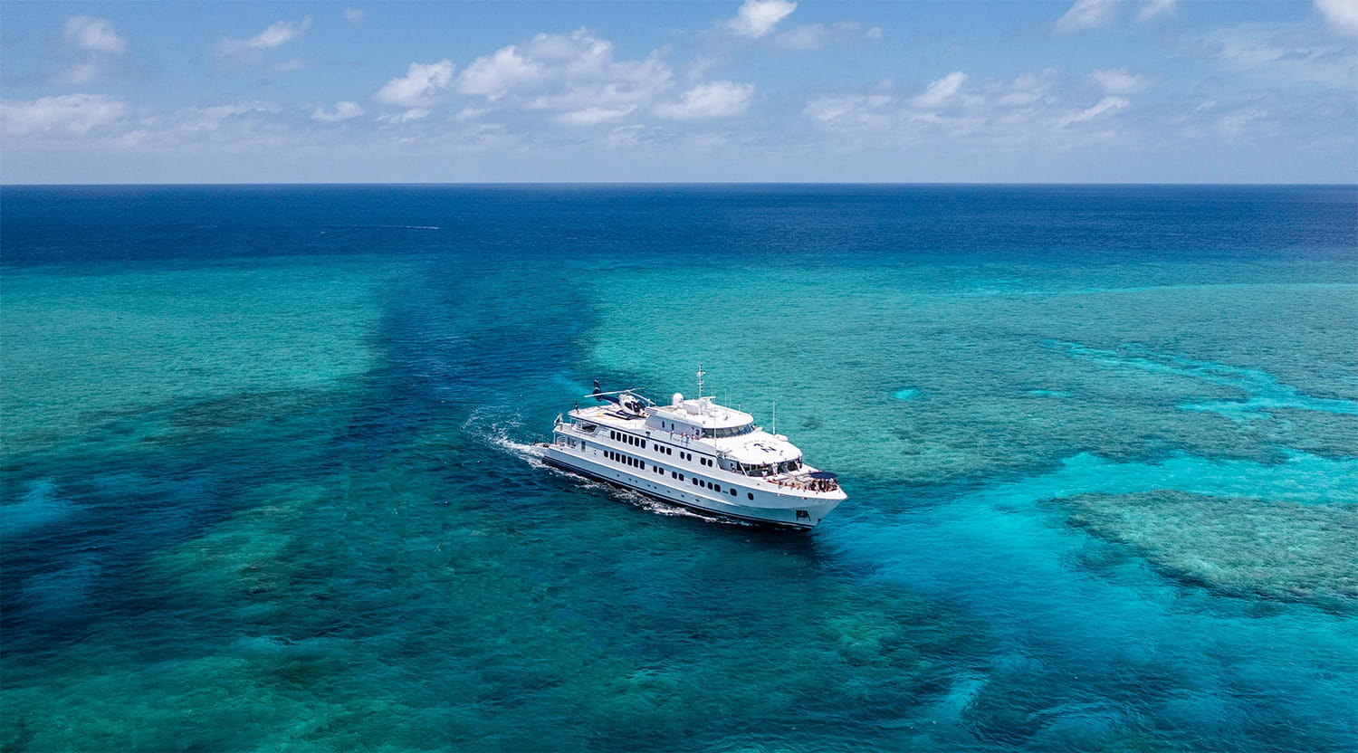 Cruise ship vs yacht