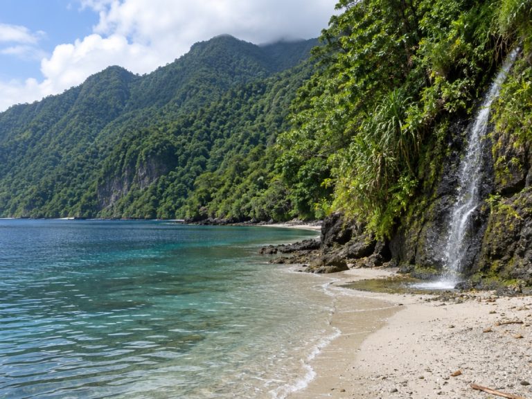 Jacquinot Bay