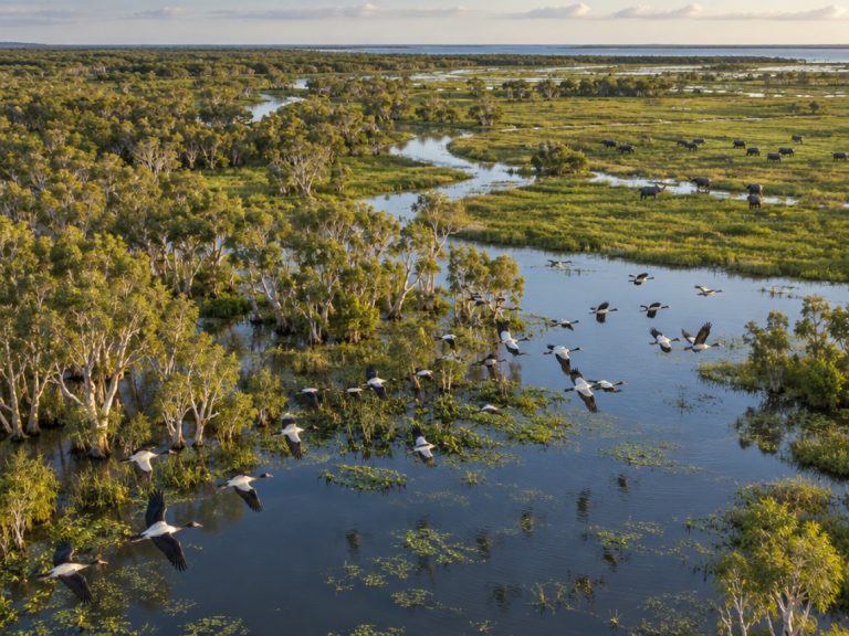 Arafura Wetlands