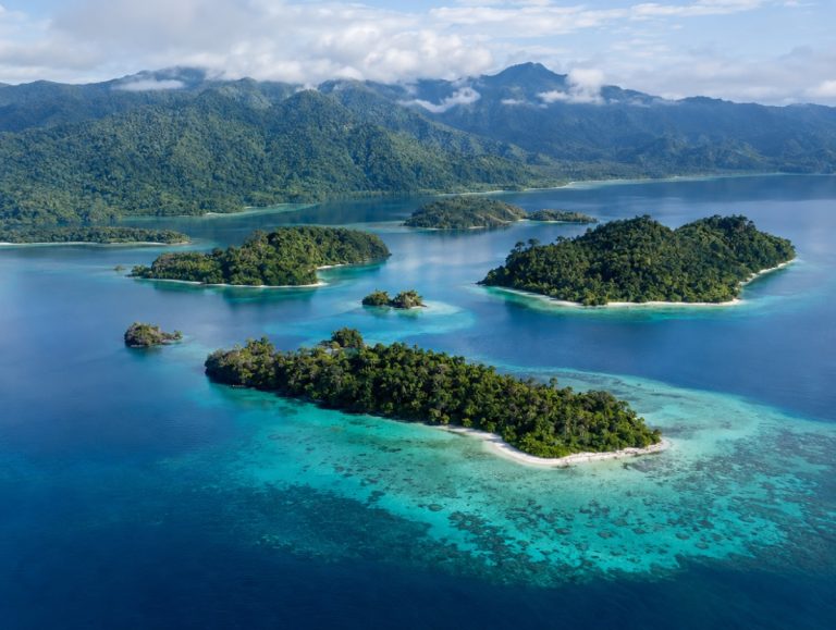 Cenderawasih Bay