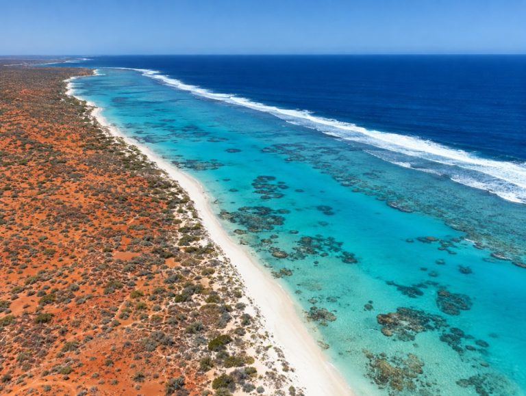 Ningaloo Reef