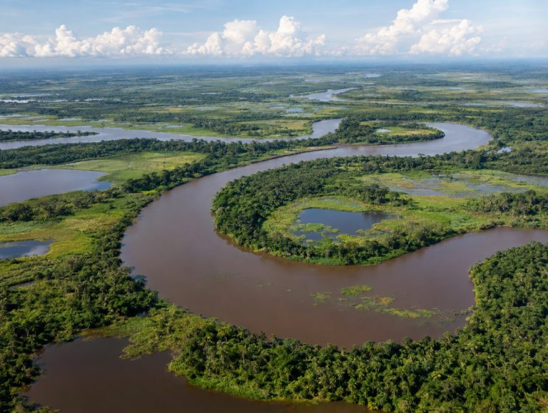 Sepik River