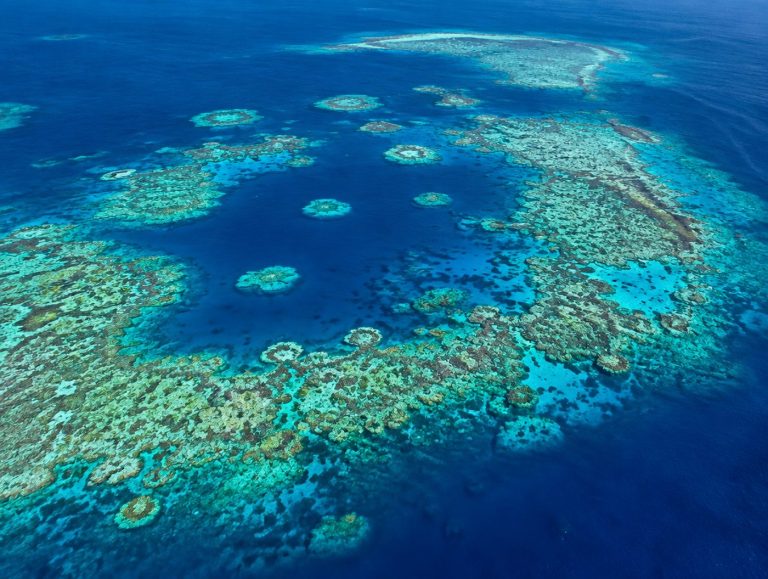 Beaver Reef