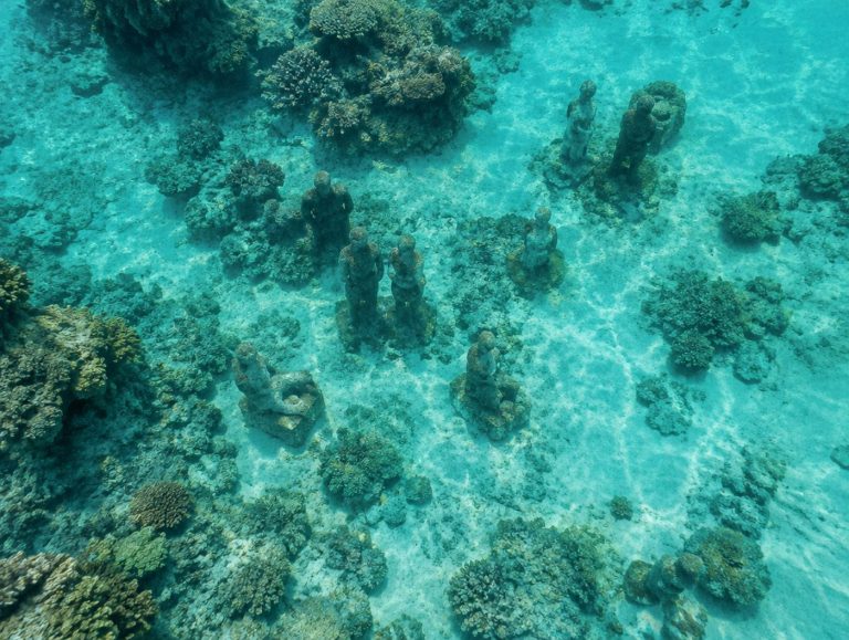 John Brewer Reef